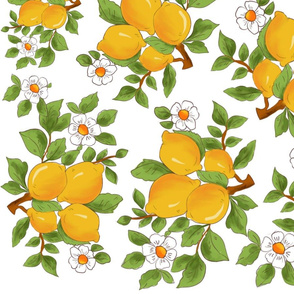 Summer,citrus,lemons pattern. Sicilian sty