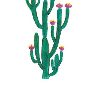 Cactuis in Bloom