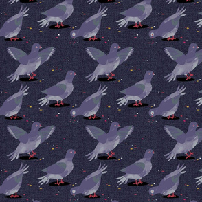 Pigeons purple small