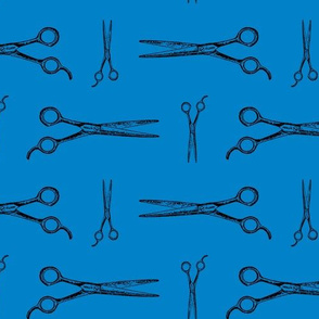 Hair Cutting Shears in Black with Blue Background (Large Scale)