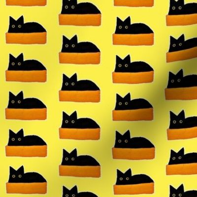 cat in a box - yellow