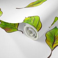 Watercolor hand drawn leaf botanical design