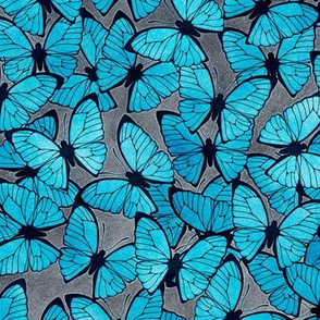 Blue Emperor Butterflies on Grey