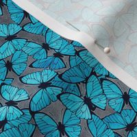 Small Blue Emperor Butterflies on Grey