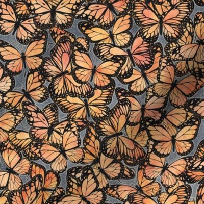 Monarch Butterflies on Grey