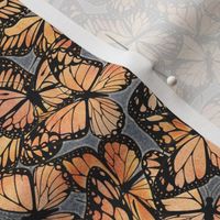 Monarch Butterflies on Grey