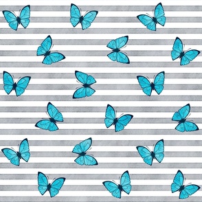 Blue Emperor Butterflies on Grey Stripes