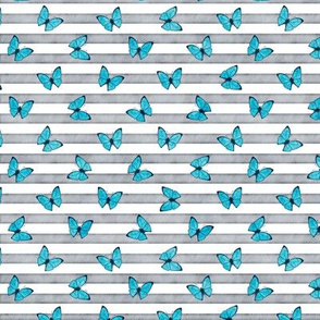 Micro Blue Emperor Butterflies on Grey Stripes