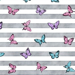 Small Colorful Butterflies on Grey Stripes
