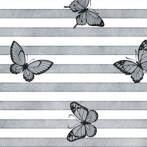 Grey Butterflies on Grey Stripes