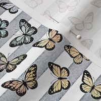 Small Pastel Rainbow Butterflies on Grey Stripes