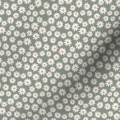 TINY daisy print fabric - daisies, daisy fabric, baby fabric, spring fabric, baby girl, earthy - olive