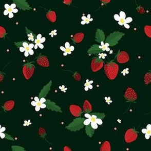 Strawberry Fields Dark|Red Fruit|Renee Davis