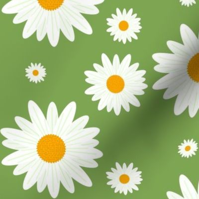 happy daisies-green