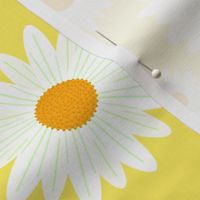 happy daisies-yellow