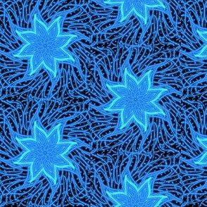 Blue Stars in a  Celestial Net