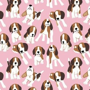 Beagle dog on pink