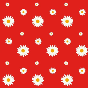 happy daisy-red