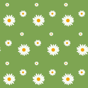 happy daisy-green