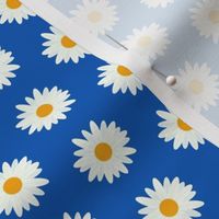 happy daisy small-blue