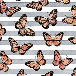Orange Monarch Butterflies on Grey Stripes