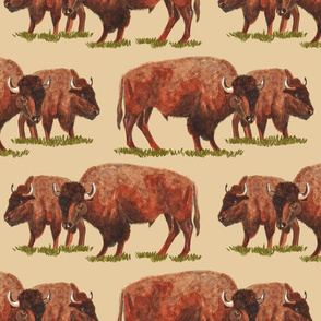 watercolor bison on beige 12x12