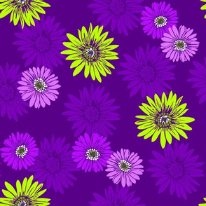 Daisy Daze Festival Floral in Purple