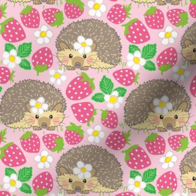 large hedgehogs in a pink strawberry patch