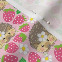 medium hedgehogs in a pink strawberry patch