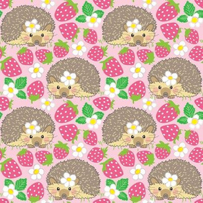 medium hedgehogs in a pink strawberry patch