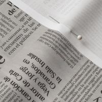 Spanish Newspaper Print Smaller Scale