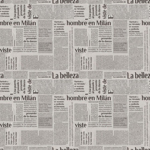 Spanish Newspaper Print Smaller Scale