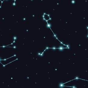 zodiac  constellations