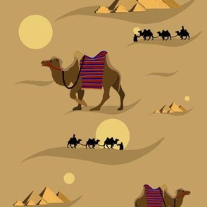 Desert odyssey