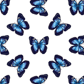 Blue Butterflies