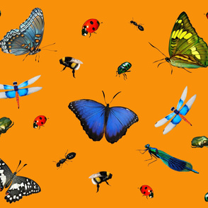 Butterflies, ladybugs,insects pattern 