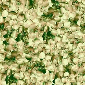 Victorian Style Real Green Buttercup Flowers Repeat Pattern