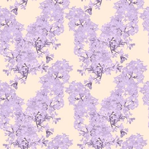 Lilacs in Cream