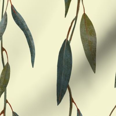 Australian Pink Eucalyptus Leaves