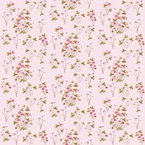 Meadow 05RP Copper & Palest Rose Pink // mini