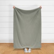 plain colors Abbey Stone gray green sage