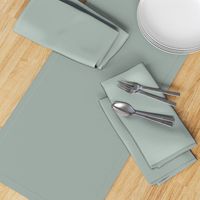 plain colors Dusty Blue Gray Green wallpaper