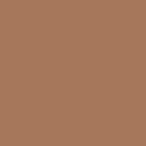 Plain Pecan Brown solid Colors Wallpaper