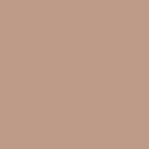 Plain Nougat Brown solid Colors Wallpaper