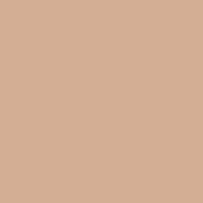 Plain Toasted Almond Brown Tan solid Colors Wallpaper