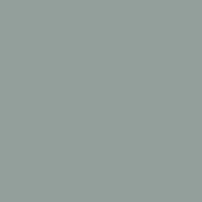 Solid Wrought Iron Gray Green Plain Color Wallpaper