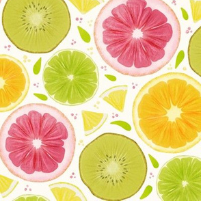 Fresh Pink Summer Lemonade Orange, Lime Lemon Grapefruit Kiwi