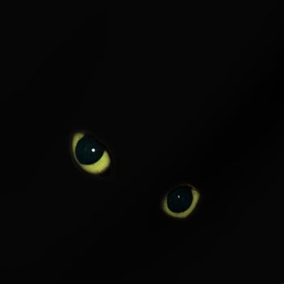 Cats eyes for Spoonflower - Small Repeat
