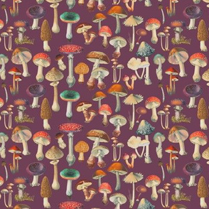 Mushies 6E Plum Purple // mini