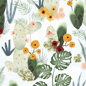 Cactus, Succulents and Monstera